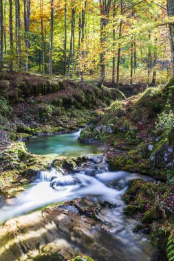 Val d 'Arzino ormanında sonbahar manzarası. Sihirli Friuli.