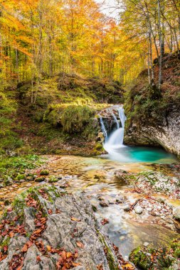 Val d 'Arzino ormanında sonbahar manzarası. Sihirli Friuli.
