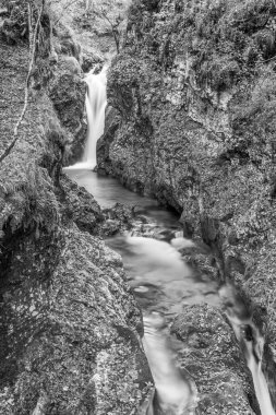 Val d 'Arzino ormanında sonbahar manzarası. Sihirli Friuli.