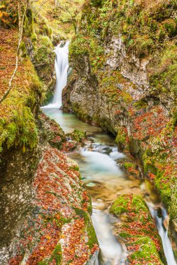 Val d 'Arzino ormanında sonbahar manzarası. Sihirli Friuli.