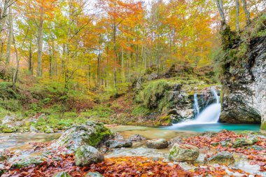 Val d 'Arzino ormanında sonbahar manzarası. Sihirli Friuli.