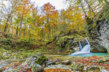 Val d 'Arzino ormanında sonbahar manzarası. Sihirli Friuli.