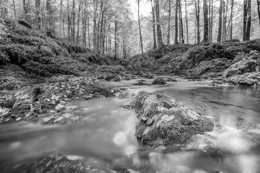 Val d 'Arzino ormanında sonbahar manzarası. Sihirli Friuli.
