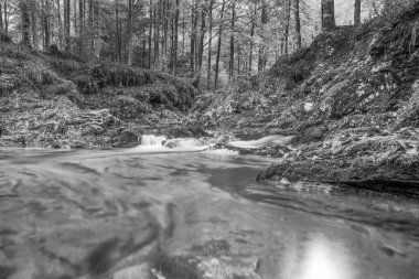 Val d 'Arzino ormanında sonbahar manzarası. Sihirli Friuli.