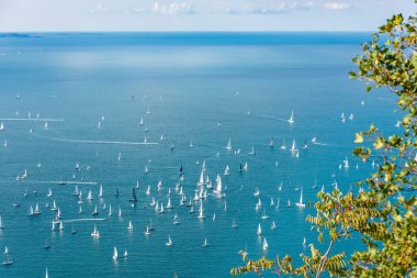 Trieste körfezi ve Barcolana ırkı. İtalya