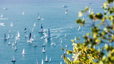 Trieste körfezi ve Barcolana ırkı. İtalya