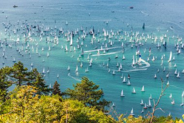 Trieste körfezi ve Barcolana ırkı. İtalya