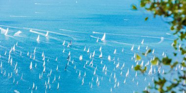 Trieste körfezi ve Barcolana ırkı. İtalya