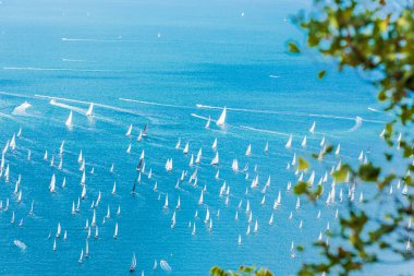 Trieste körfezi ve Barcolana ırkı. İtalya