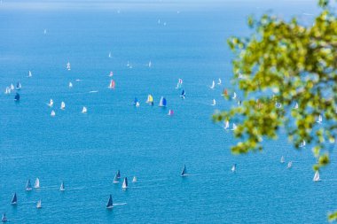 Trieste körfezi ve Barcolana ırkı. İtalya