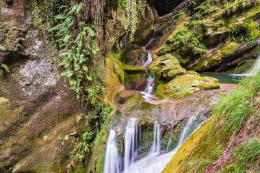 Ormandaki şelale. Caglieron mağaraları ve şelaleler. Zümrüt renkli büyü.  