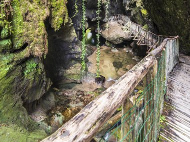 Ormandaki şelale. Caglieron mağaraları ve şelaleler. Zümrüt renkli büyü.  