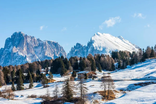 イタリアのドロミテのSeiser AlmまたはAlpe Siusiのパノラマ画像 — ストック写真