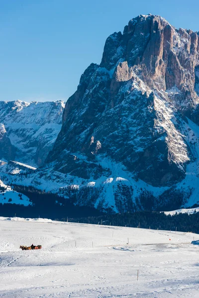 Imagen Panorámica Del Seiser Alm Alpe Siusi Los Dolomitas Italia — Foto de Stock