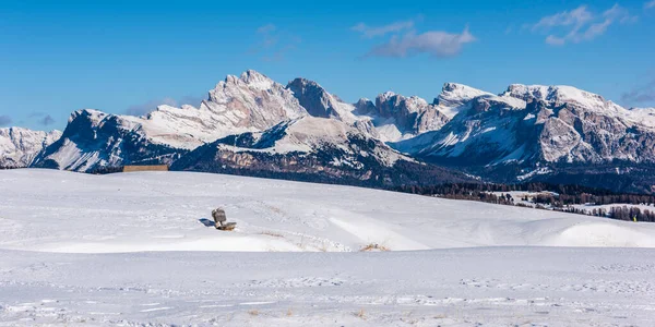 意大利多洛美斯塞萨尔Alm或Alpe Siusi的全景图像 — 图库照片