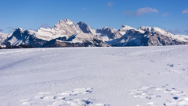 Panoráma Kép Seiser Alm Vagy Alpe Siusi Dolomitok Olaszország — Stock Fotó