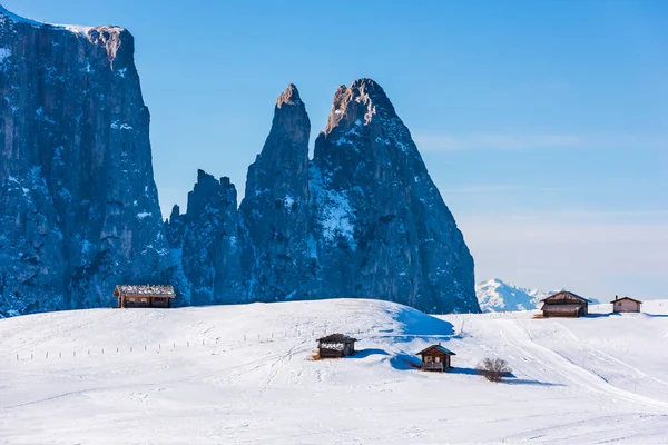 Image Panoramique Seiser Alm Alpe Siusi Dans Les Dolomites Italie — Photo