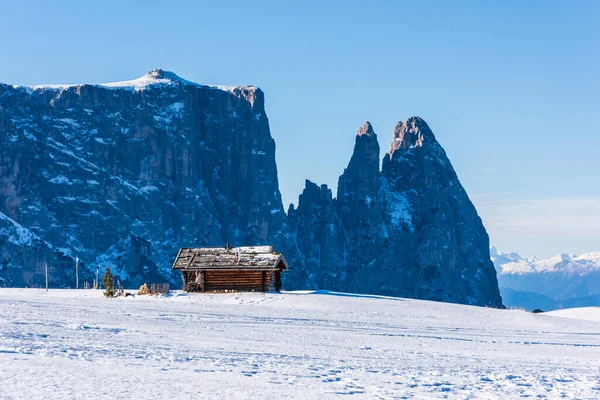 イタリアのドロミテのSeiser AlmまたはAlpe Siusiのパノラマ画像 — ストック写真