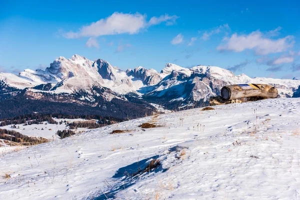 意大利多洛美斯塞萨尔Alm或Alpe Siusi的全景图像 — 图库照片