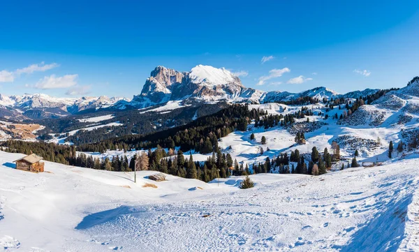 Dolomitler Deki Seiser Alm Alpe Siusi Nin Panorama Görüntüsü Talya — Stok fotoğraf