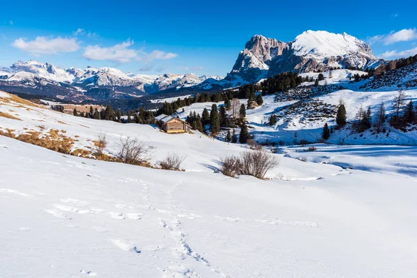 Panorama Imagem Alm Seiser Alpe Siusi Nas Dolomitas Itália — Fotografia de Stock