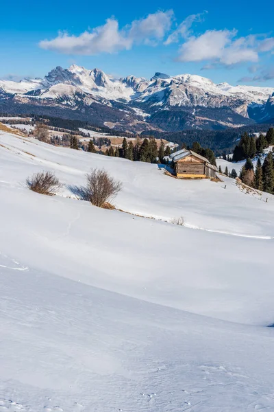 Imagen Panorámica Del Seiser Alm Alpe Siusi Los Dolomitas Italia —  Fotos de Stock