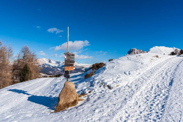 Dolomitler Deki Seiser Alm Alpe Siusi Nin Panorama Görüntüsü Talya — Stok fotoğraf