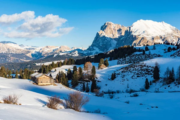 Dolomitler Deki Seiser Alm Alpe Siusi Nin Panorama Görüntüsü Talya — Stok fotoğraf