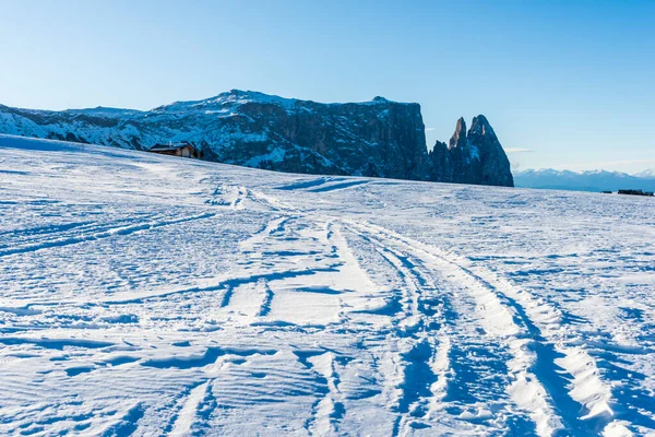 Imagen Panorámica Del Seiser Alm Alpe Siusi Los Dolomitas Italia —  Fotos de Stock