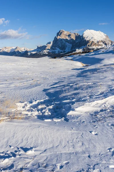 Image Panoramique Seiser Alm Alpe Siusi Dans Les Dolomites Italie — Photo