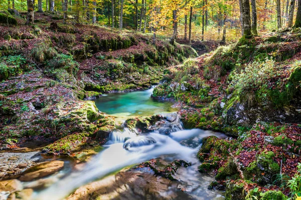 Podzimní Krajina Potokem Lese Val Arzinu Kouzelný Friuli — Stock fotografie