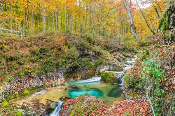Paysage Automne Avec Ruisseau Forêt Dans Val Arzino Frioul Magique — Photo