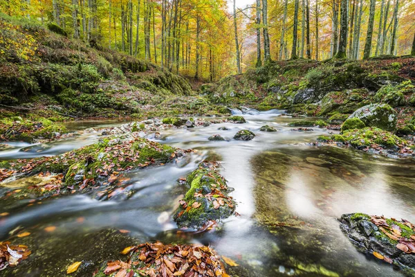 Autumn Landscape Stream Forest Val Arzino Magical Friuli — Stock Photo, Image