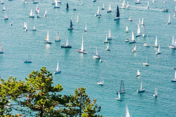 Der Golf Von Triest Und Das Rennen Der Barcolana Italien — Stockfoto