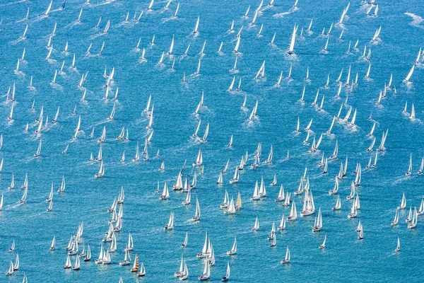 Golfe Trieste Race Barcolana Italie — Photo