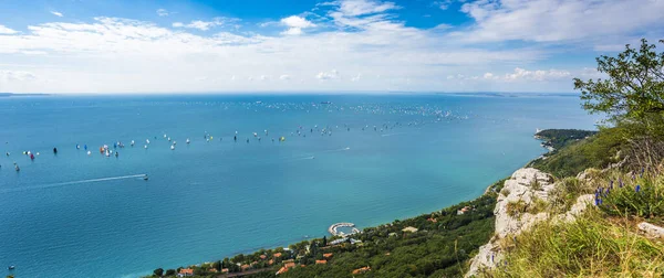 Golfo Trieste Carrera Del Barcolana Italia —  Fotos de Stock
