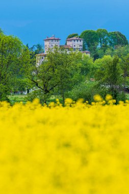 Doğanın güzel manzarası