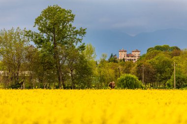 Doğanın güzel manzarası