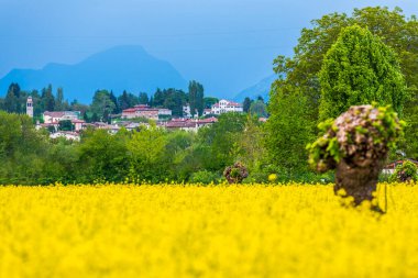Doğanın güzel manzarası