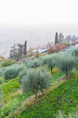 Doğanın güzel manzarası