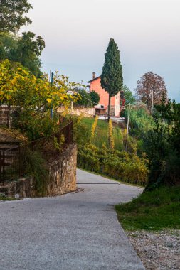 Doğanın güzel manzarası