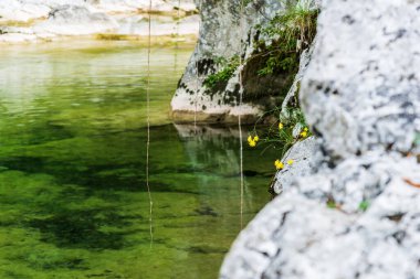 Doğanın güzel manzarası