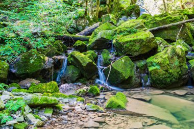 Doğanın güzel manzarası