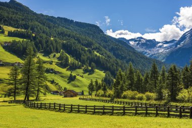 Doğanın güzel manzarası