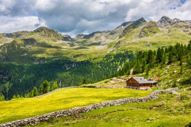 Doğanın güzel manzarası