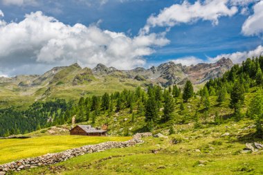 Doğanın güzel manzarası