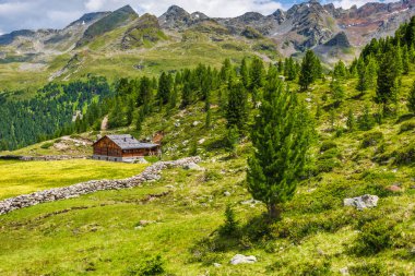 Doğanın güzel manzarası