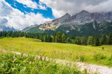 Doğanın güzel manzarası