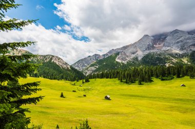 Doğanın güzel manzarası