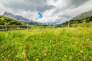Doğanın güzel manzarası
